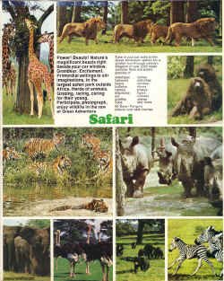 1974-Brochure-005.jpg (376284 bytes)