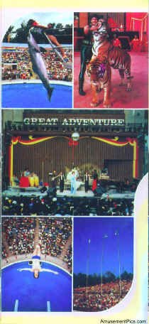 1979-Brochure5.jpg (162536 bytes)