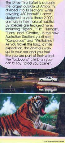 1979-Brochure8.jpg (233425 bytes)