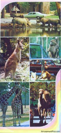 1979-Brochure9.jpg (203528 bytes)