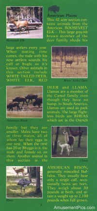 1979-Safari-Brochure3.jpg (138540 bytes)