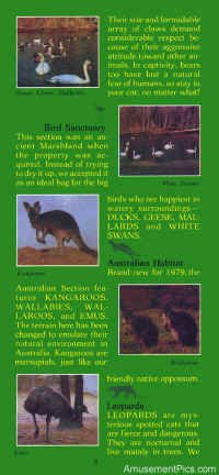 1979-Safari-Brochure9.jpg (126022 bytes)